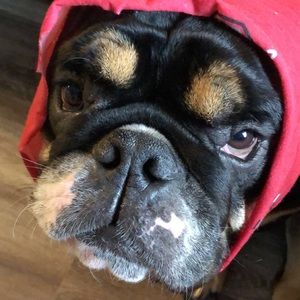 Meet your Posher, Kyle